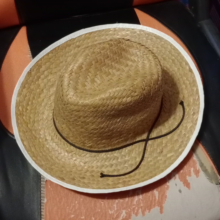 Fun Hat